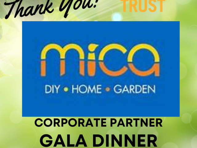 MICA Gala Dinner Fundraiser