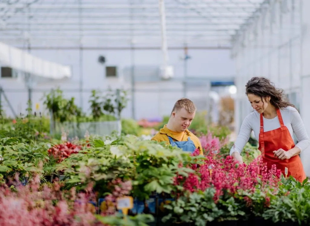 Two people in garden centre